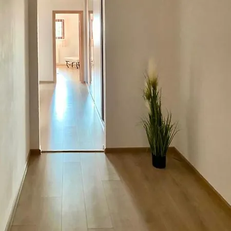 Casa Dima Guest house
